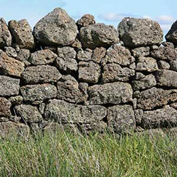 Dry stone wall near Warrion, Vic.